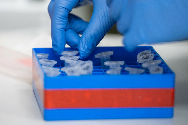 Eine Laborantin sortiert im Institut für Virologie an der Charite Berlin Mitte, in dem Untersuchungen zum Coronavirus laufen, Proben.