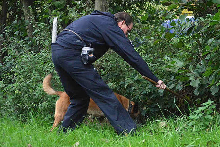 Ein Spürhund entdeckte die Leiche des Rentners.