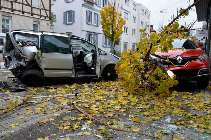 Der getroffene Renault (rechts) knickte einen Baum um.