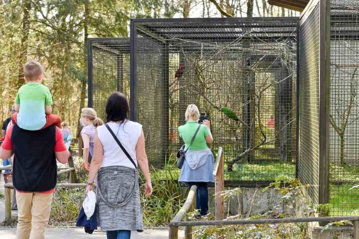 Der Chemnitzer Tierpark kämpft mit sinkenden Besucherzahlen, ist wenig
attraktiv. Hier die Papageienanlage.