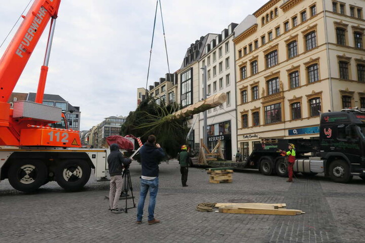Neben einem Forstunternehmen unterstützten die Branddirektion Leipzig sowie das Verkehrs- und Tiefbauamt den Aufbau.