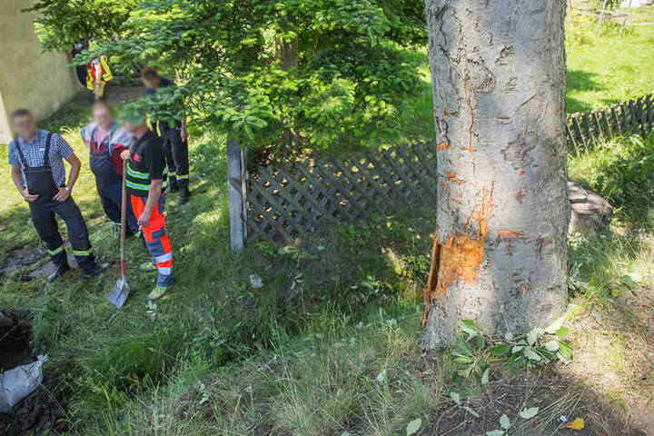 Der Seat-Fahrer krachte gegen einen Baum und verstarb noch an der Unfallstelle.