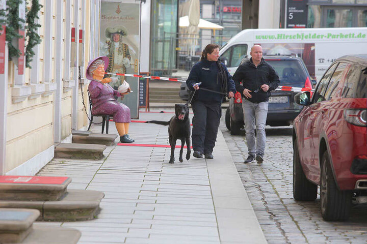 Auch Spürhunde kommen zum Einsatz.