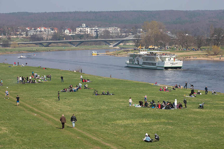 Liegewiese mit Aussicht: An den Elbwiesen tankten die Dresdner Sonne und schauten den Dampfschiffen auf dem Fluss nach.