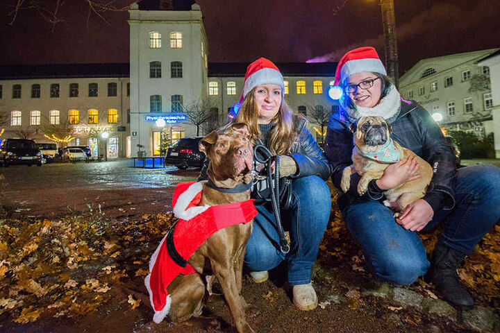 Wuffis Wallfahrt auf den Weihnachtsmarkt: Desiree Held (27) und Linda Wiedemann (28, v.l.) haben den ersten Hunde-Weihnachtsmarkt am Samstag in der Schönherrfabrik organisiert.