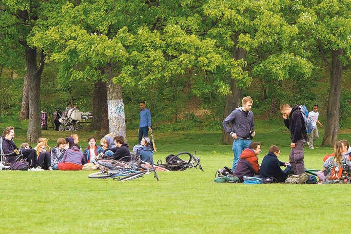 Wird, wie hier im Alaunpark, nicht nur rumgelungert, sondern auch laut
gepöbelt, greift die Besondere Einsatzgruppe ein.