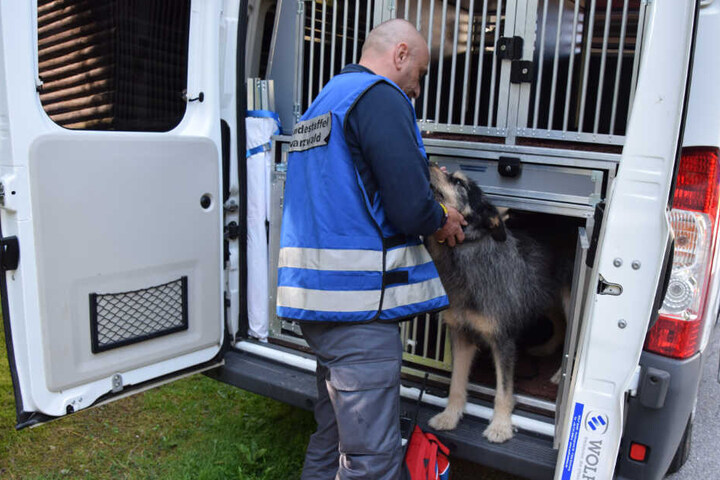 Auch Spürhunde sind in die Suche mit einbezogen.