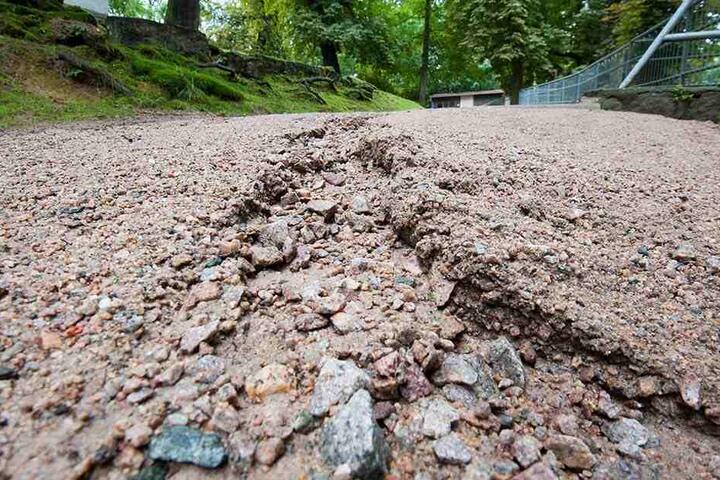 Das Wasser hat tiefe Rinnen in die Erde gegraben. Der Tierpark Hirschfeld wurde von Starkregen und Sturm heimgesucht.