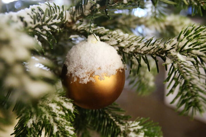 In die verschiedensten Winterwelten wird man in Eisenberg entführt.