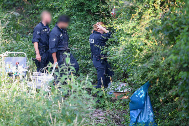 In einem Gebüsch nahe Wiesbaden-Erbenheim fanden die Ermittler Susannas Leiche.