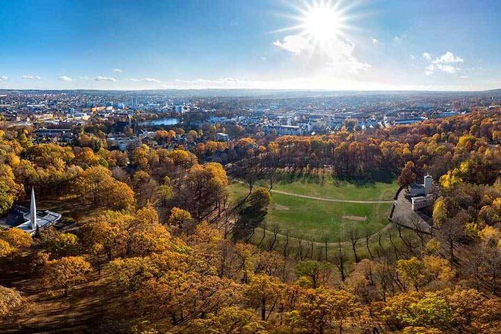 Der Küchwald von oben: Das 93,7 Hektar große Areal soll eine millionenschwere Kur bekommen.