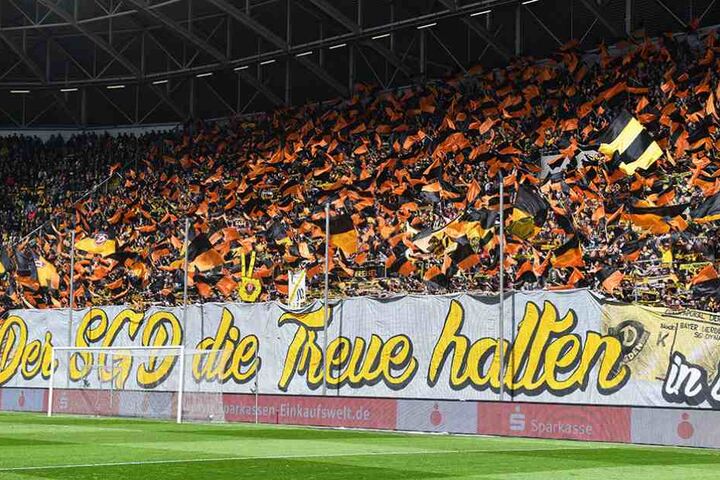 Der SGD die Treue halten. Das machen die meisten Fans trotz der schwachen Leistungen in den vergangenen Spielen.