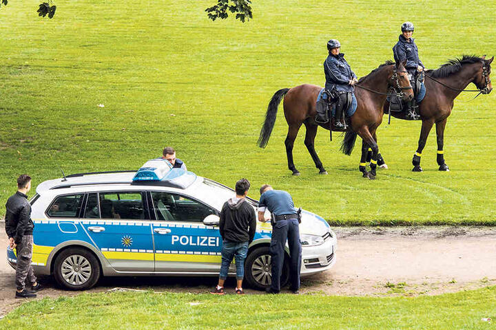 Die Pferde im Alaunpark sollen die Neustadt sicherer gemacht haben.