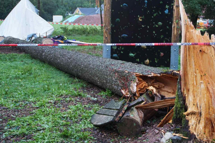Der Baum wurde offenbar von einem Blitz getroffen.