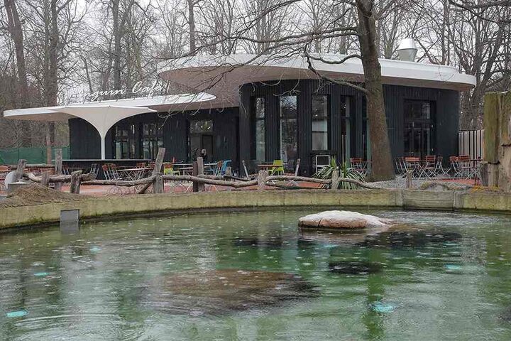 Das Pinguin-Cafe öffnet seine Türen am Samstag für alle Zoobesucher.