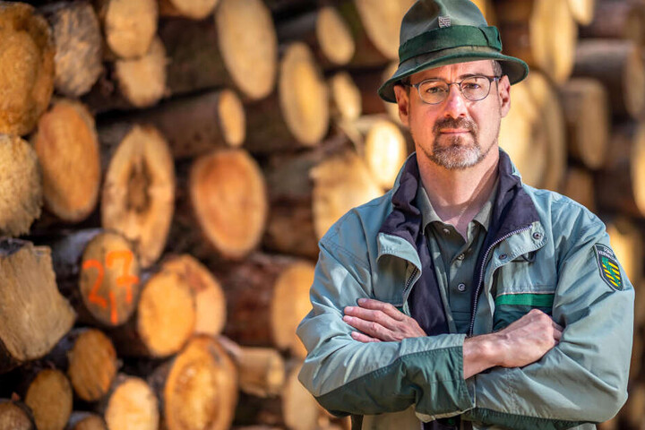 Revierförster Ullrich Göthel (50) bietet am Samstag das traditionelle Weihnachtsbaumschlagen im Rabensteiner Wald an.