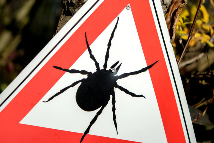 Niedersachsen: Ein Warnschild mit dem Piktogramm einer Zecke hängt an einem Baum in einem Wald.
