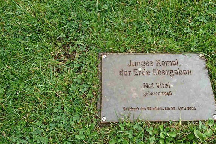 Im Kunsthallenpark in Bielefeld verrottet unter der Erde ein echtes, aber totes Kamel.