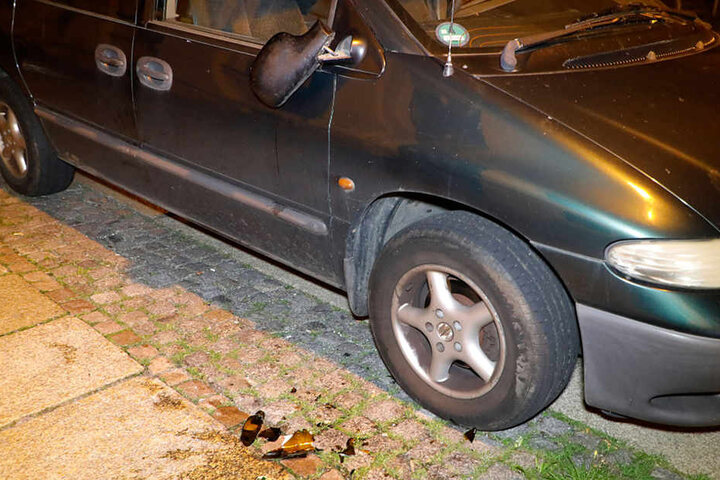 Die Frau trat an 13 Autos die Außenspiegel ab.