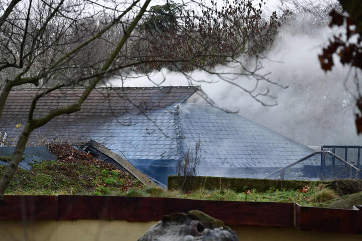 Acht Mitarbeiter wurden bei dem Brand verletzt.