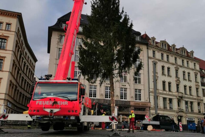 Bis Anfang Januar 2020 soll die Fichte dann auf dem Marktplatz stehen.