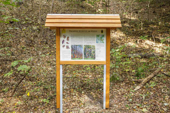 Ein Schild (nahe der Straße An der Kucksche) klärt über Dresdens ersten Urwald auf. Es wurde am einzigen Weg angebracht, der durch den Wald führt.