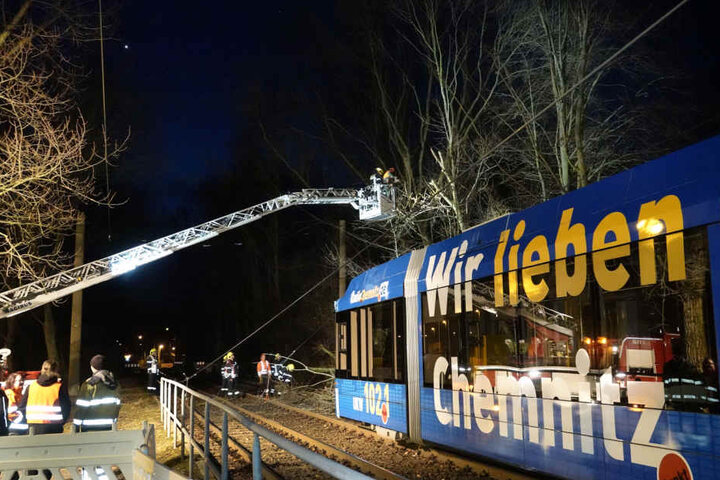 Der Sturm beschädigte mehrere Bäume.