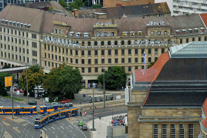Die Italienerin Valentina übernachtete im Best Western Hotel neben dem im Umbau befindlichen Astoria, holte den Ausreißer von den Straßenbahngleisen.