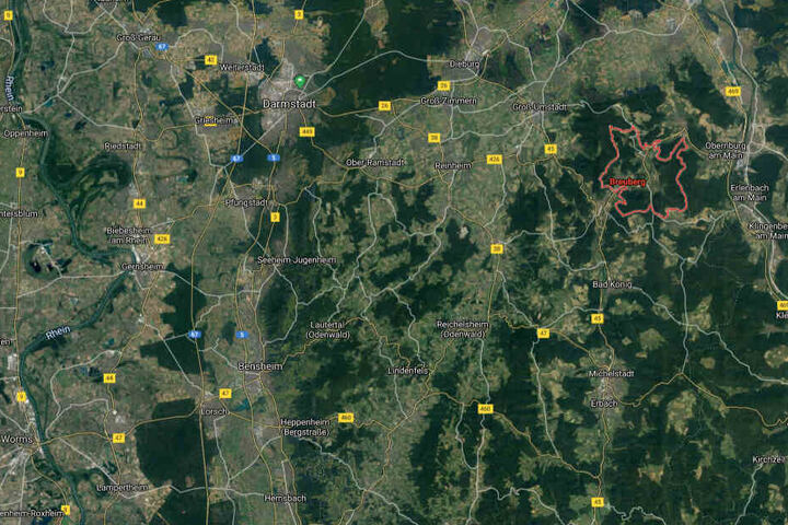 Die Bienenstöcke standen auf einem Grundstück an der Landstraße 3413 im südhessischen Breuberg