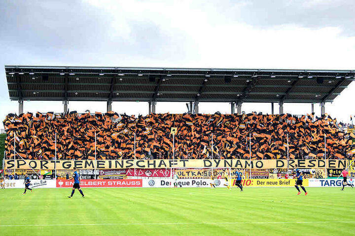 Wie schon vor zwei Jahren im Spiel gegen TuS Koblenz werden auch am Sonnabende wieder viele Dynamo-Fans im Zwickauer Stadion sein.