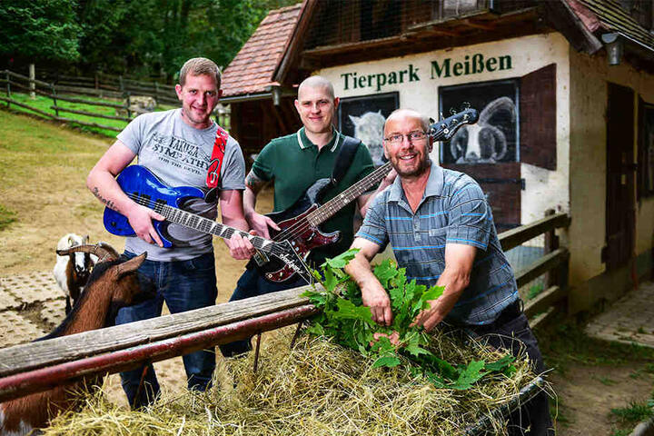 Tierpark-Chef Heiko Drechsler (55,r.) freut sich über die Unterstützung der "Biersturm"-Musiker Simon Dobrzewski (31) und Janik Zinßmeister (25, v.l.).