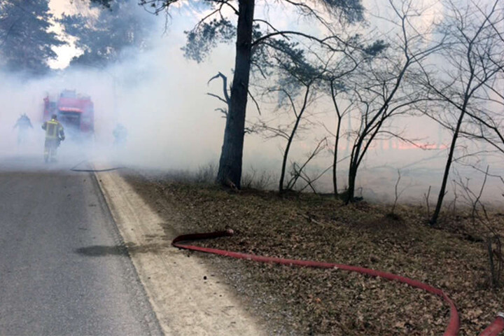 Die Feuerwehr kämpfte mit 150 Mann gegen die Flammen.