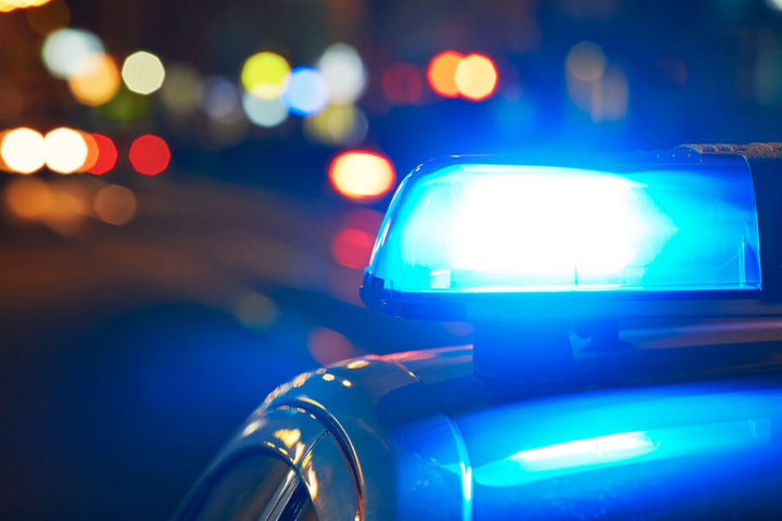 Die Polizei musste die Tiere mitten in der Nacht wieder einfangen. (Symbolbild)