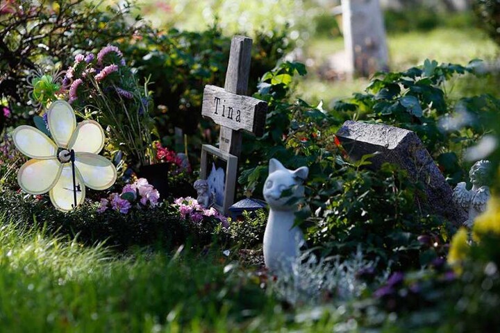 Eine Grabstelle auf dem Tierfriedhof in Berlin.
