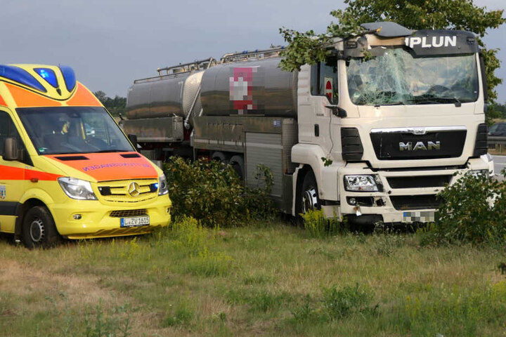 Am Rastplatz Muldental Nord kam der Milch-Laster von der A14 ab und mähte mehrere Schilder und Bäume um.