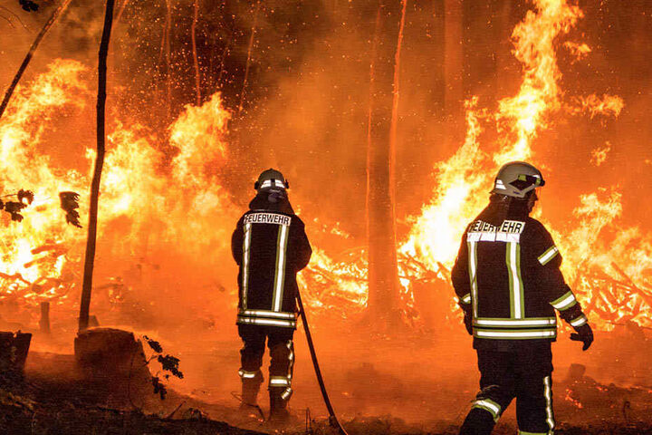 Insgesamt 31 Kameraden waren im Einsatz.