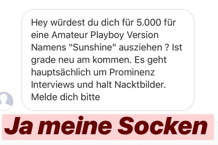 Die Nachricht mit dem anrüchigen Angebot für ein angebliches Nackt-Shooting teilte Motsi in ihrer Story. Sie nahm es mit Humor.