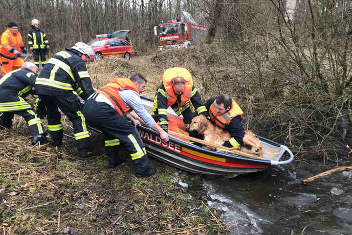 Durchgefroren aber lebendig: Die Helden der Feuerwehr Bad Waldsee haben den Hund aus dem eisigen Wasser gerettet.