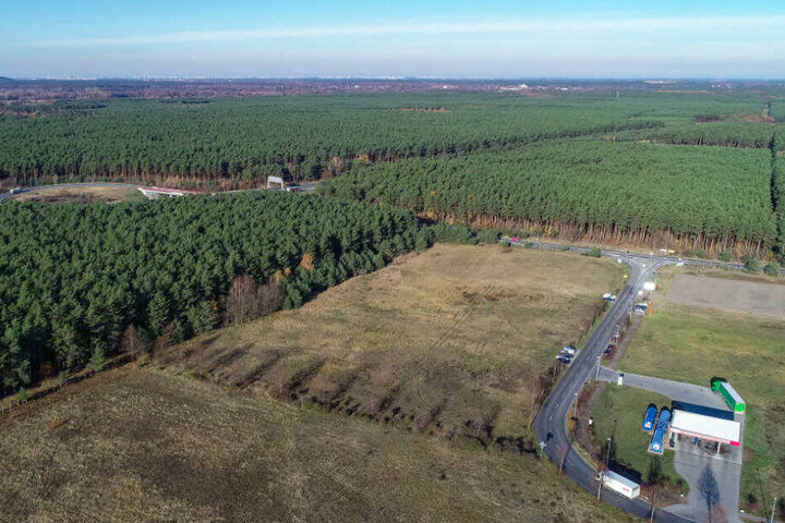 In dem riesigen Waldgebiet plant Tesla den Bau einer Gigafactory.