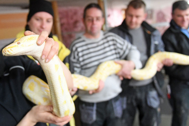"Lissy" wiegt fast 17 Kilo und ist 2,80 lang.
