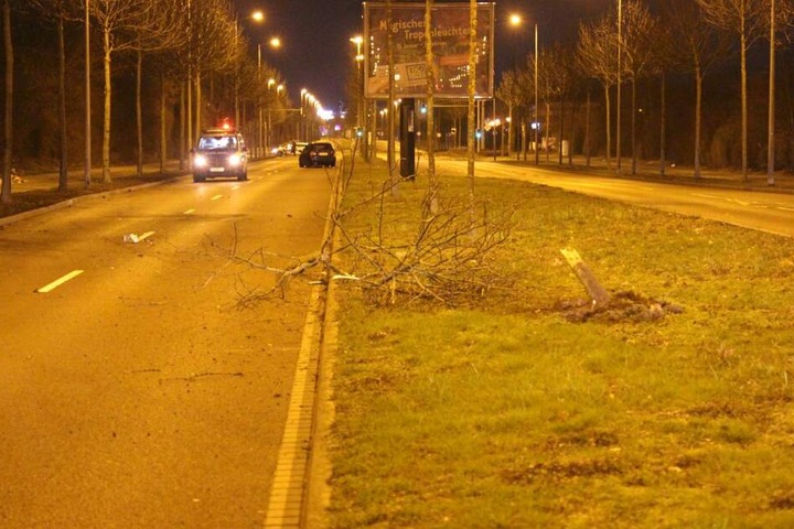 Der Fahrer eines Ford Focus hatte die Kontrolle über sein Fahrzeug verloren, zunächst einen Baum gefällt und dann ein 13-jähriges Mädchen erfasst.
