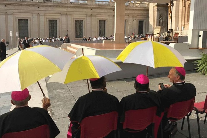 Auch Hilberts Besuch vor zwei Jahren beim Papst sorgte für Kritik.
