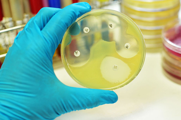 Die Tu Bergakademie forscht seit Jahren an der Weißen Biotechnologie. (Symbolbild)