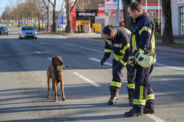 Die Hunde des Paares wurden von der Feuerwehr betreut.