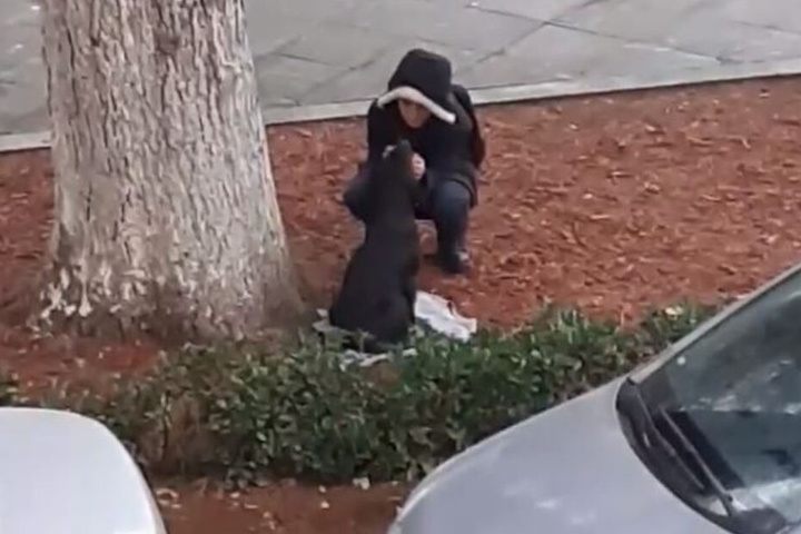 Die Frau streichelte den Hund zum Trost.