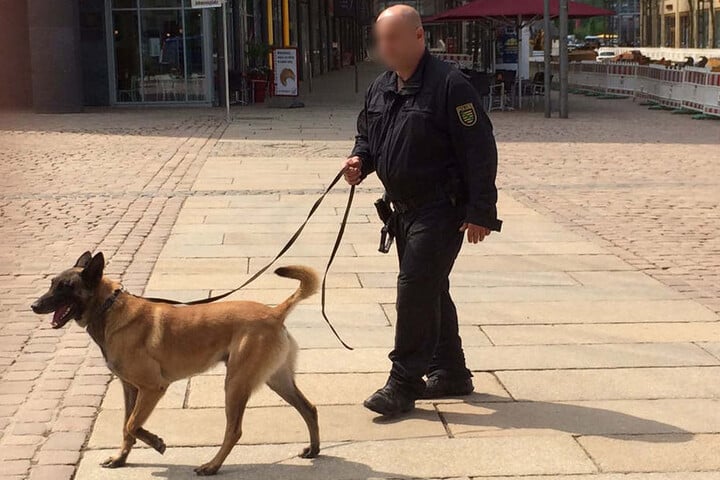 Die Polizei ist mit Suchhunden im Einsatz.