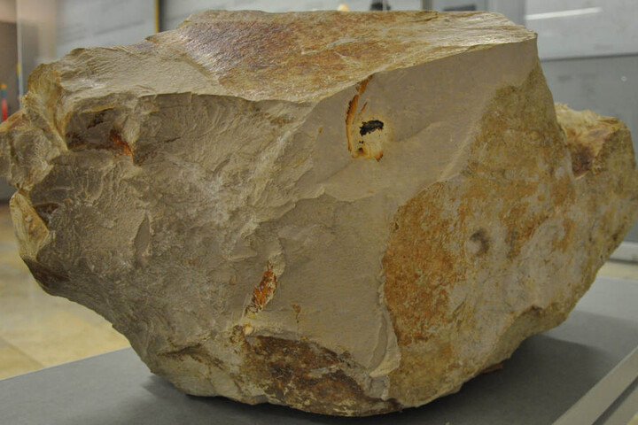 Der etwa einen Meter große Kalksteinblock mit Strahlenkegeln im Meteorkrater-Museum in Sontheim mit Resten des Steinheim-Meteoriten (dunkles Material oberhalb der Bildmitte), kurz nach dem Fund des Meteoriten.
