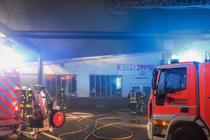 Das Feuer war am Samstagabend in dieser Zoohandlung in Remscheid ausgebrochen.
