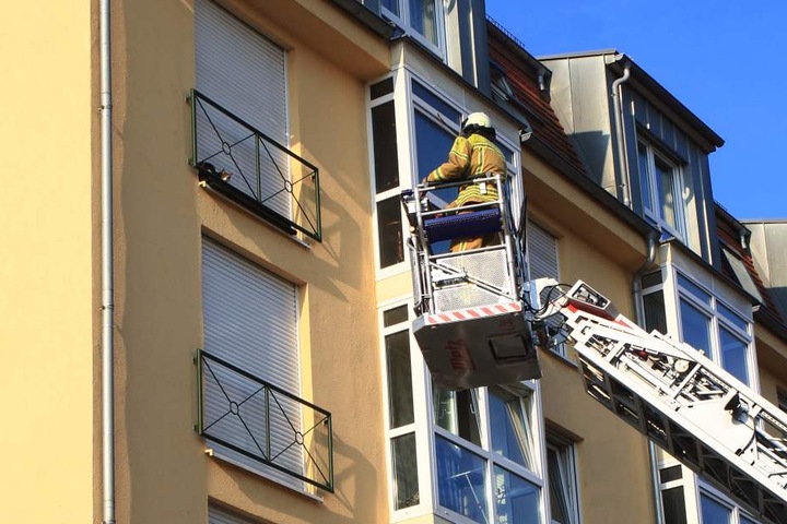 Die Berufsfeuerwehr Dresden rettete das Tier und brachte es ins Tierheim.