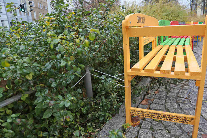 Nun sind zwei der Gedenkbänke gestohlen worden.